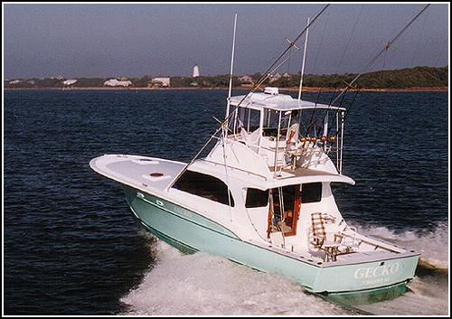 Gecko Sportfishing Charters